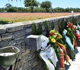 [Translate to Englisch:] 